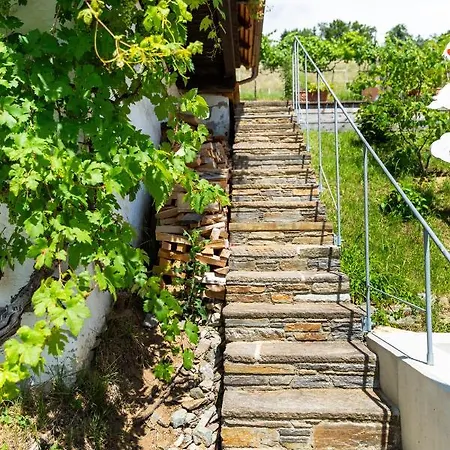 Diekellerstoeckl - Weinstoeckl S24 Mit Pool Vakantiehuis Stainz